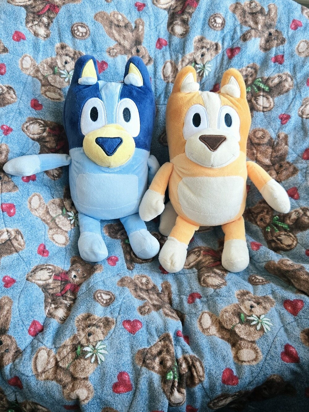 Bluey And Bingo Plush Puppy Pair